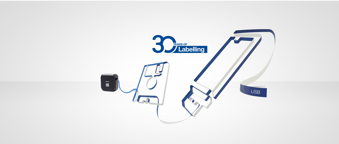 logo 30 let